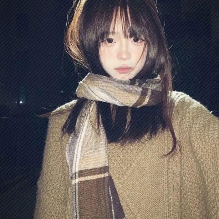西部战线